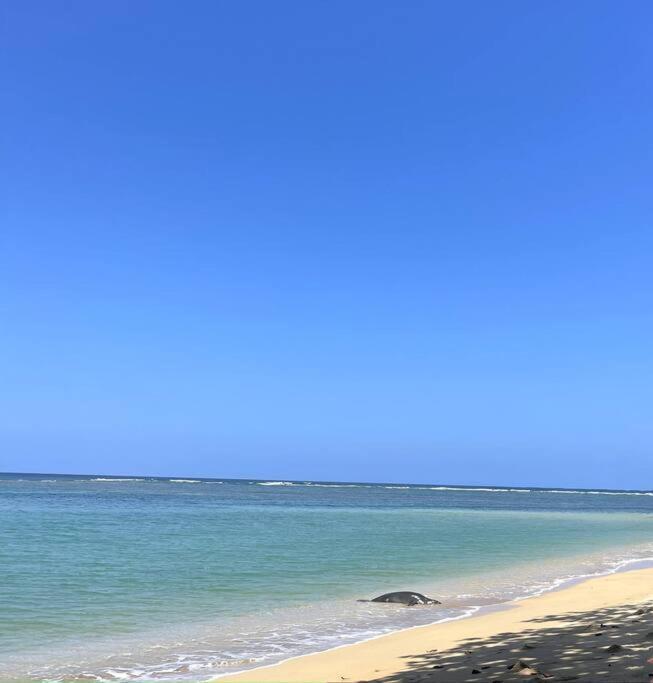 Hummingbird Oceanfront Cottage Hau'ula Esterno foto