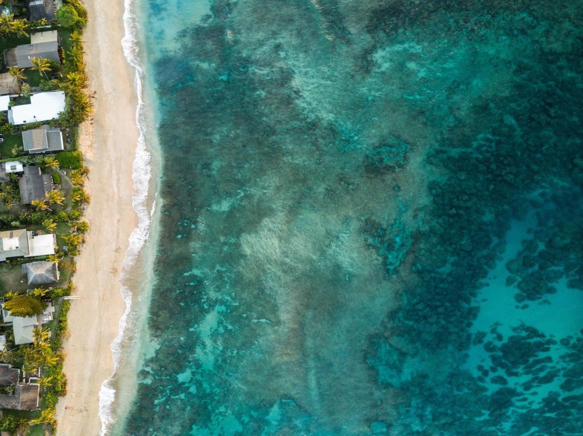 Hummingbird Oceanfront Cottage Hau'ula Esterno foto