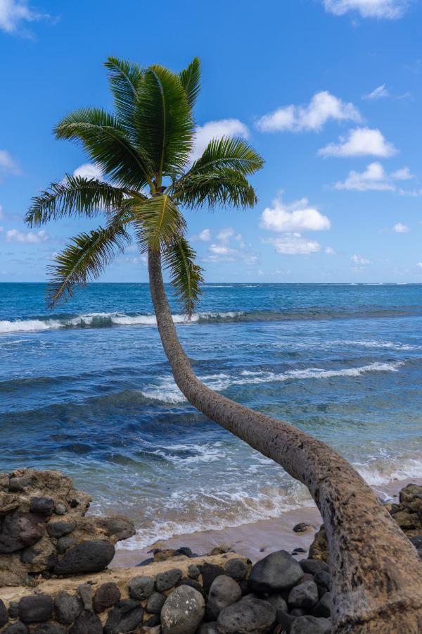 Hummingbird Oceanfront Cottage Hau'ula Esterno foto